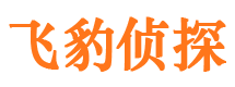 陈仓市侦探调查公司